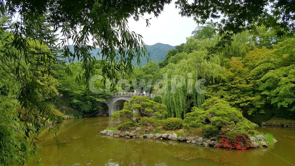 호수,풍경,나무,정원,여름,조화,봄,자연,풍경,nature,landscape,water,물,outdoors,옥외