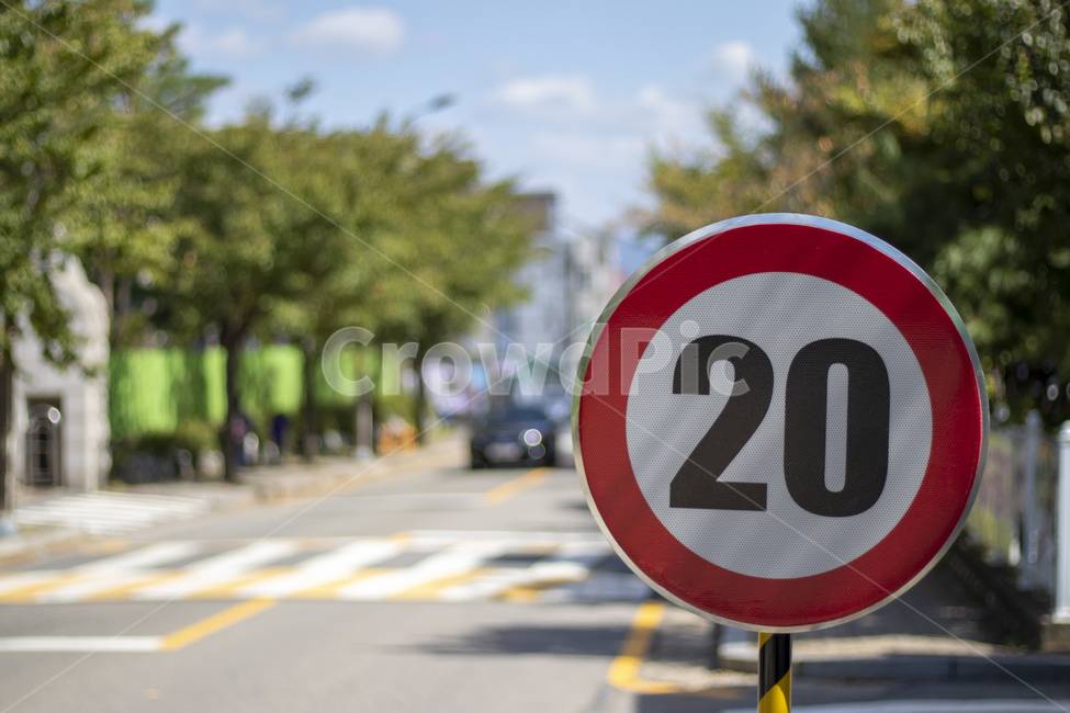 도로표지판,20대,속도제한,roadsign,20km,안전표지,가을,교통,교통수단,traffic,transportation