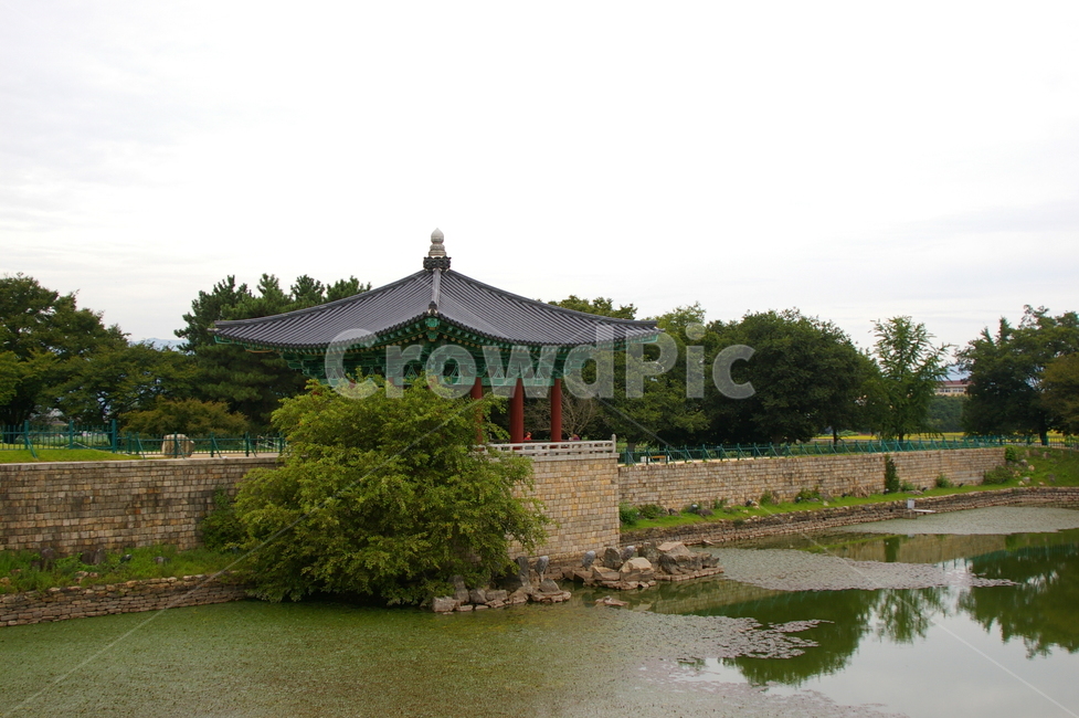 경주,풍경,자연,야외,옥외,가을,한국전통,한국문화,korean traditional,korean culture