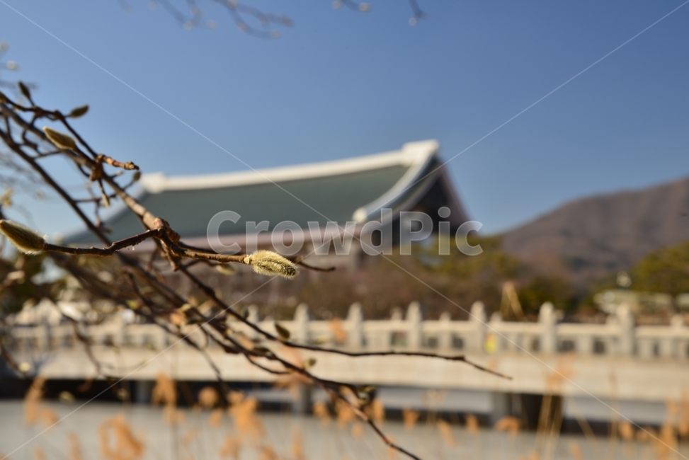 천안,독립기념관,새싹,봄,느낌,풍경,봄,계절,spring,season,식물,자연,plants,nature