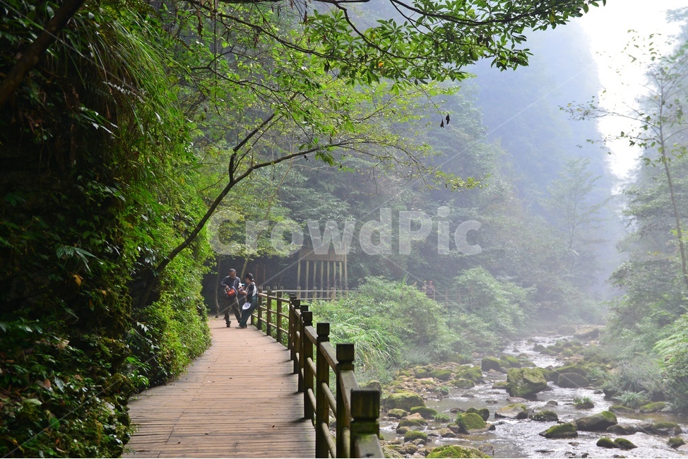 human,인간,person,사람,boardwalk,산책로,bridge,다리,cliff,낭떠러지,nature,자연,weather,날씨,outdoors,옥외,중국,장가계,대협곡,보봉호수,안개