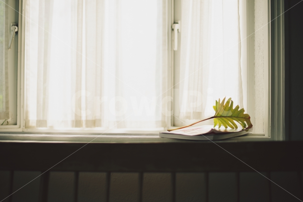 창가,그림자,감성,감성사진,책,따뜻한사진,노을,햇살,감성,sensible,feeling,인테리어,실내디자인,interior design