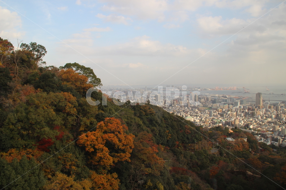 nature,자연,outdoors,옥외,scenery,풍경,가을,계절,fall,autumn,season,자연,풍경,nature,landscape