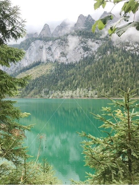 풍경,오스트리아,잘츠감머굿트,고사우,호수,배경화면,유럽,austria,europe,lake,landscape,scenery,배경,자연,풍경,nature,landscape,해외,외국,세계,foreign,oversea,world,세계자연풍경,해외자연풍경,외국자연풍경,world nature landscape,tree,나무,plant,식물,fir,전나무,abies,아비,conifer,구과 식물