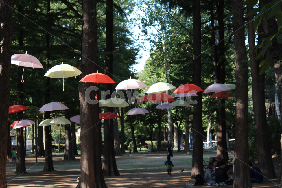 human,outdoors,인간,옥외,person