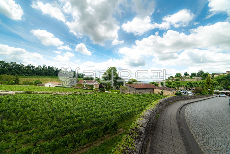 유럽,europe,프랑스,france,생떼밀리옹,saintémilion,saintemilion,와인마을,winevillage,세계문화유산,worldheritage,포도밭,vinyard,wine,와인,보르도,보르도와인,bordeaux,bordeauxwine,프랑스남부,마을,villige,감성,느낌,경치,landscope,자연,outdoors,옥외,road,도로
