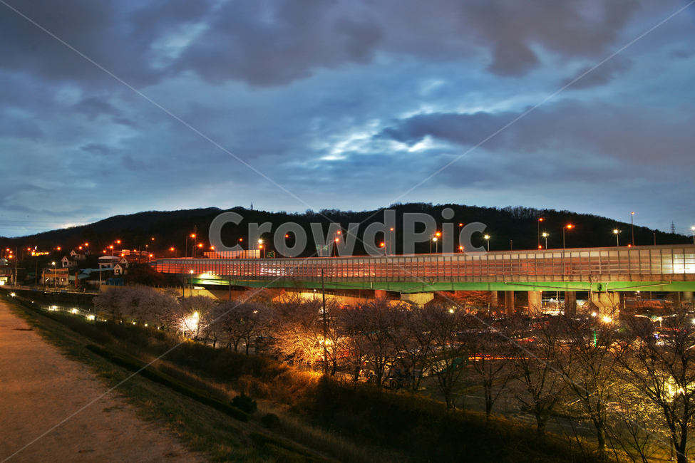 학의대교,백운호수,주차장,야경,먹구름,조명,벗꽃,야경,밤,풍경,nightscape,night,landscape,도시,city,한국도시풍경,한국도시경관,korea cityscape,outdoors,옥외,nature,자연