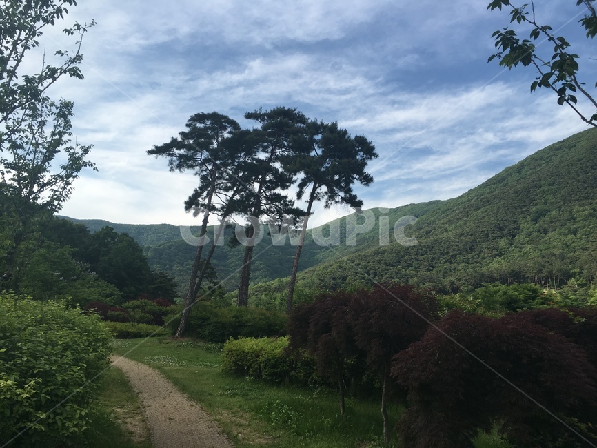 공원,숲,자연,공기,맑음,환경,자연,풍경,nature,landscape,outdoors,옥외