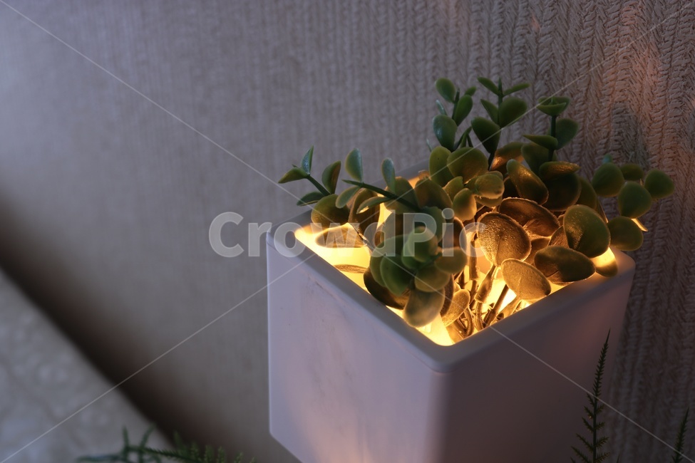 꽃,화분,꽃병,조명,자연,예쁜,flowers,꽃다발,화초,풀,식물,자연,plants,nature,인테리어,실내디자인,interior design
