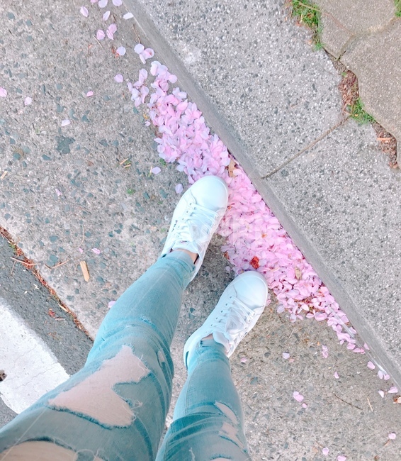 벚꽃,봄,신발,길거리,꽃