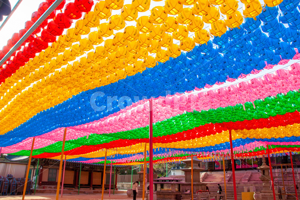 person,사람,human,인간,temple