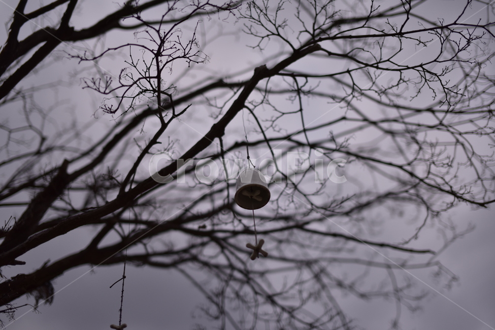 종,bell,tree,outdoors,분위기,나무,옥외,풍경,으스스한,serious,진지한,landscape