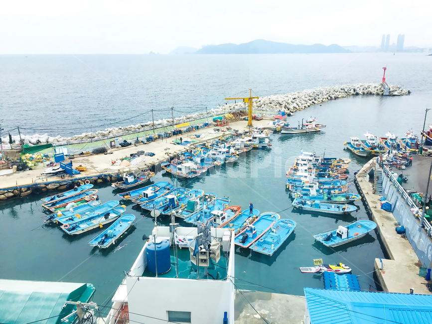 부산,항구,배,바다,선박,넓은,푸른,정겨운,시원한,파란,어부,낚시,여름,산업,industry,industrial,어업,fishery,fishing industry,교통,교통수단,traffic,transportation