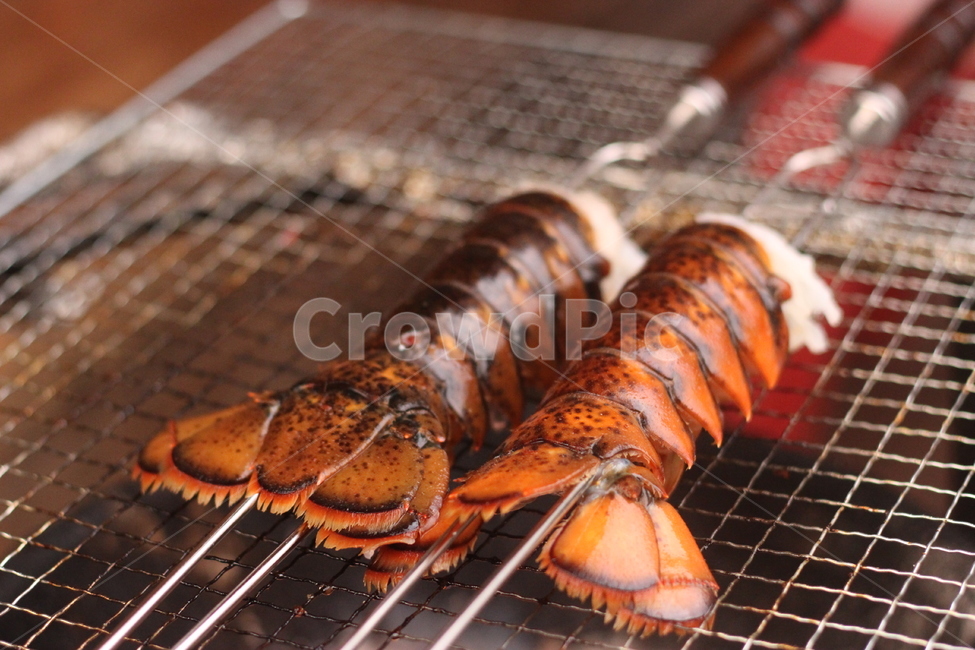 꼬치구이,food,음식,bbq,바베큐,랍스터,음식,식재료,요리,food,cook,meal,dishes,food reserves
