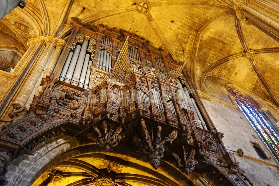 바르셀로나대성당,cathedral,스페인성당,카탈루냐성당,고딕양식성당,오르간,파이프오르간,organ,성당오르간,음악,예술,music,art,architecture,건축물,church,catholic,종교,종교음악,가톨릭,카톨릭,예배,미사,예식,웅장,건축물,건물외관,exterior,building,structure,architecture,construction