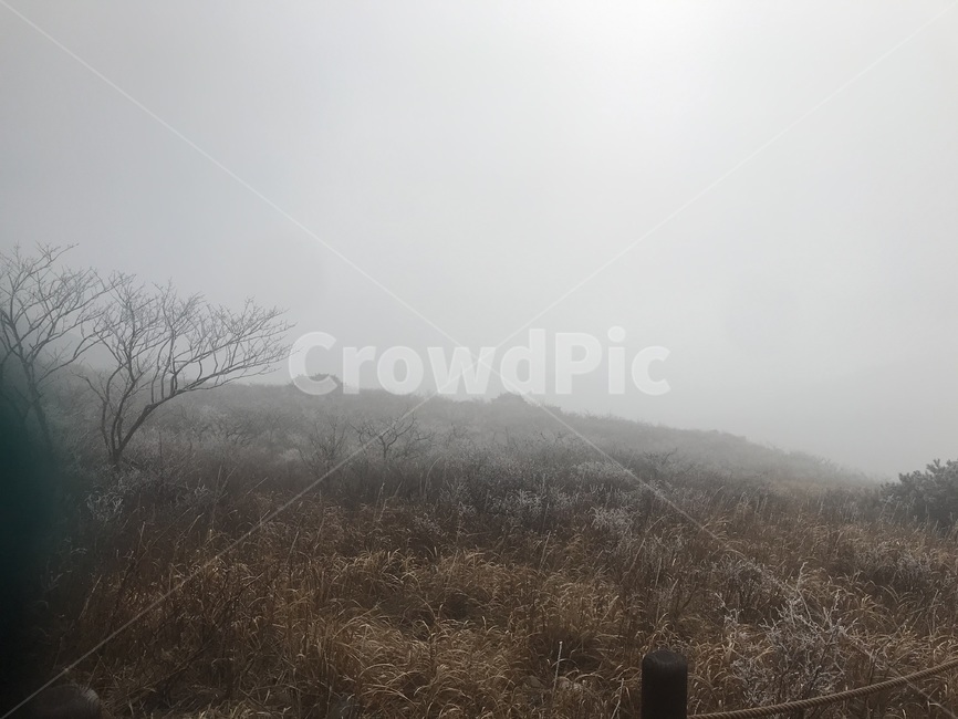 자연,정상,산,등산,날씨,배경,겨울,계절,winter,season,자연,풍경,nature,landscape