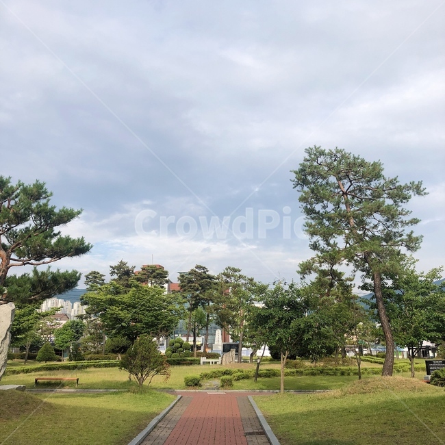 봄,가을,초록색,구름,나무,잔디