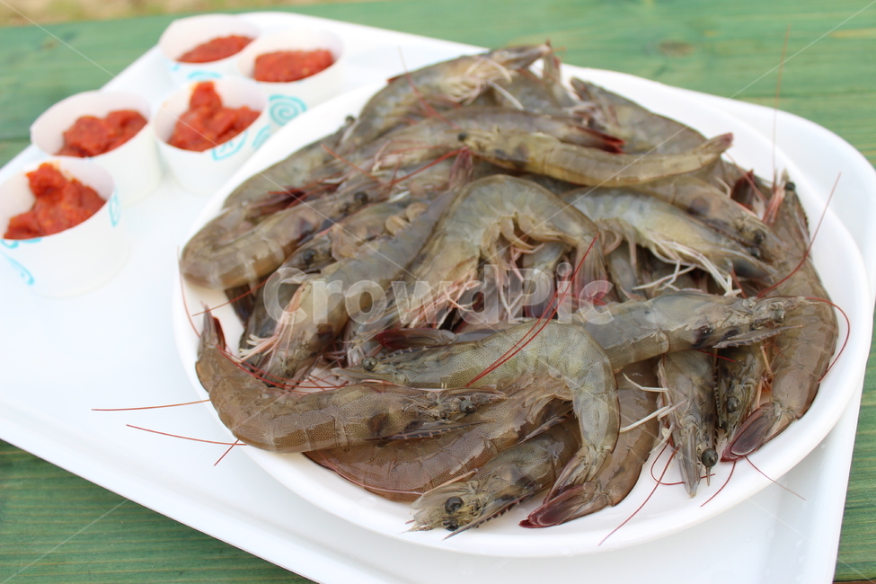 대하,여러마리,해산물,수염,새우,음식,식재료,요리,food,cook,meal,dishes,food reserves,수산물,해산물,fishery products,seafood