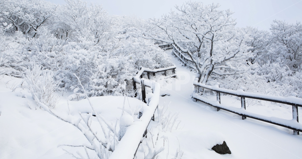산,흰눈,발자국,첫눈,상고대,겨울,계절,winter,season,자연,풍경,nature,landscape,한국자연풍경,한국자연경관,korea nature landscape,blizzard,눈보라,storm,폭풍,outdoors,옥외,snow,눈