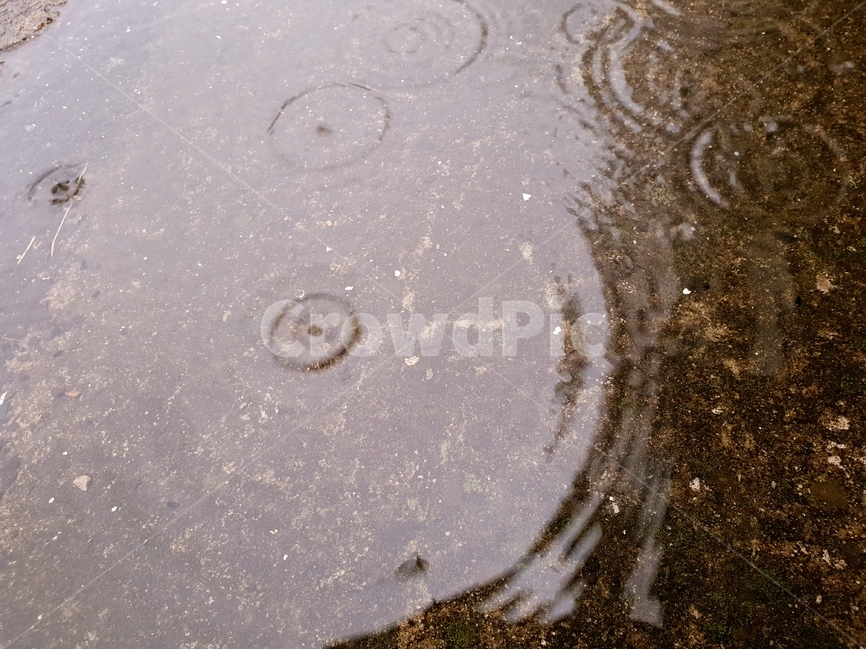 빗방울,물,빗물,패턴,배경,날씨,감정,비오는날,rain,raindrops,background,weather,pattern,비,비오는날,rain,rainy