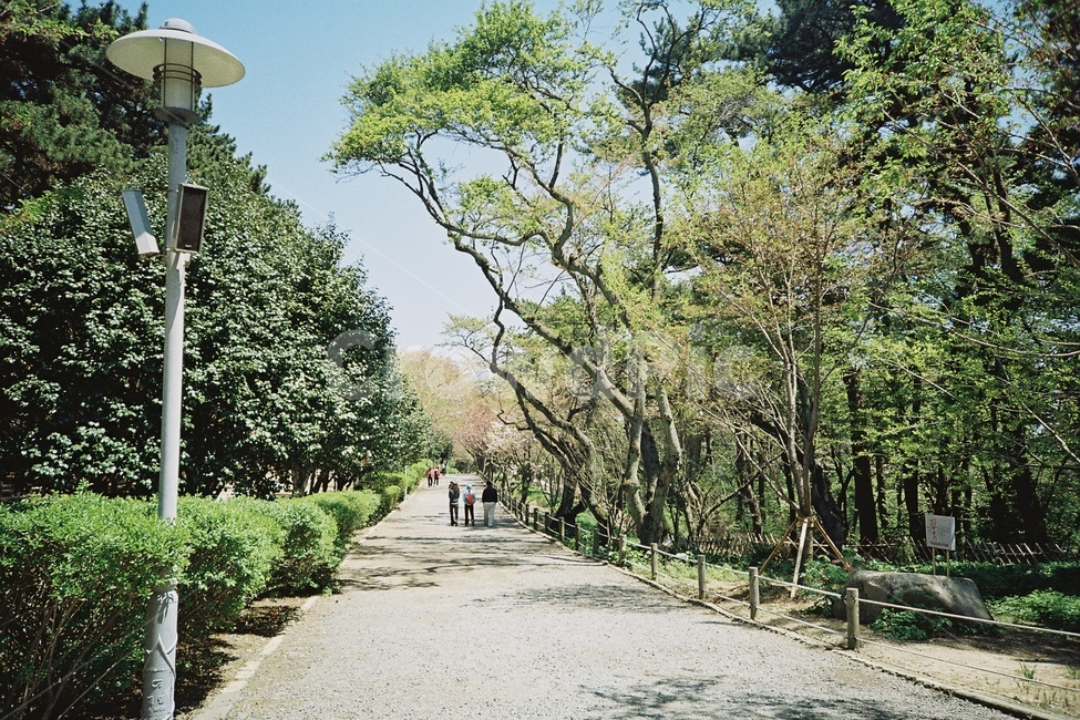 로모,필름,풍경,로모카메라,필름카메라,film,lomo,filmcamera,lomocamera,landscape,필름사진,lomography,로모그래피,자연,풍경,nature,landscape,outdoors,옥외,arbour,정자,garden,정원