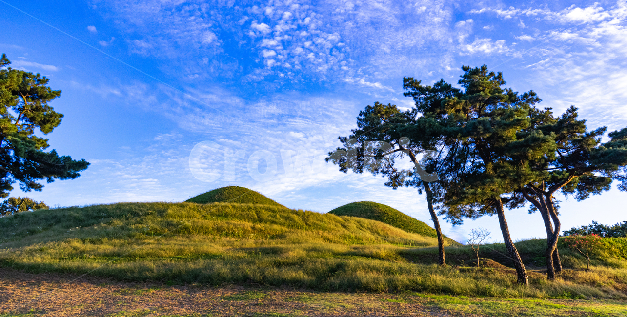 무덤,유적지,고분,나무,하늘,언덕,초원,들,field,목초지,grassland,옥외,outdoors,자연,풍경,nature,landscape