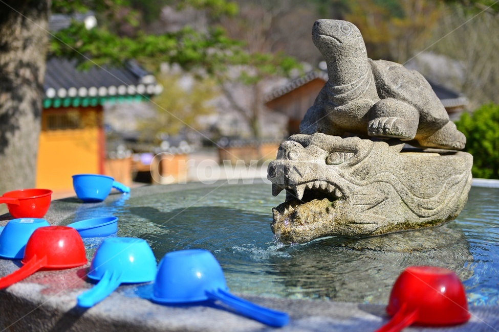 바가지,빨강,파랑,nature,자연,landscape,경치,outdoors,옥외,scenery,풍경,봄,계절,부안,내소사,벚꽃,사찰,불교,절,감로수,식수,음료수,water,물