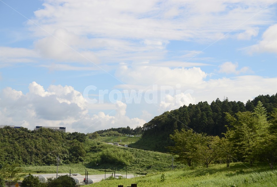 nature,자연,outdoors,옥외,field,들,grassland,목초지,비닐하우스,맑은하늘,숲,치바,일본