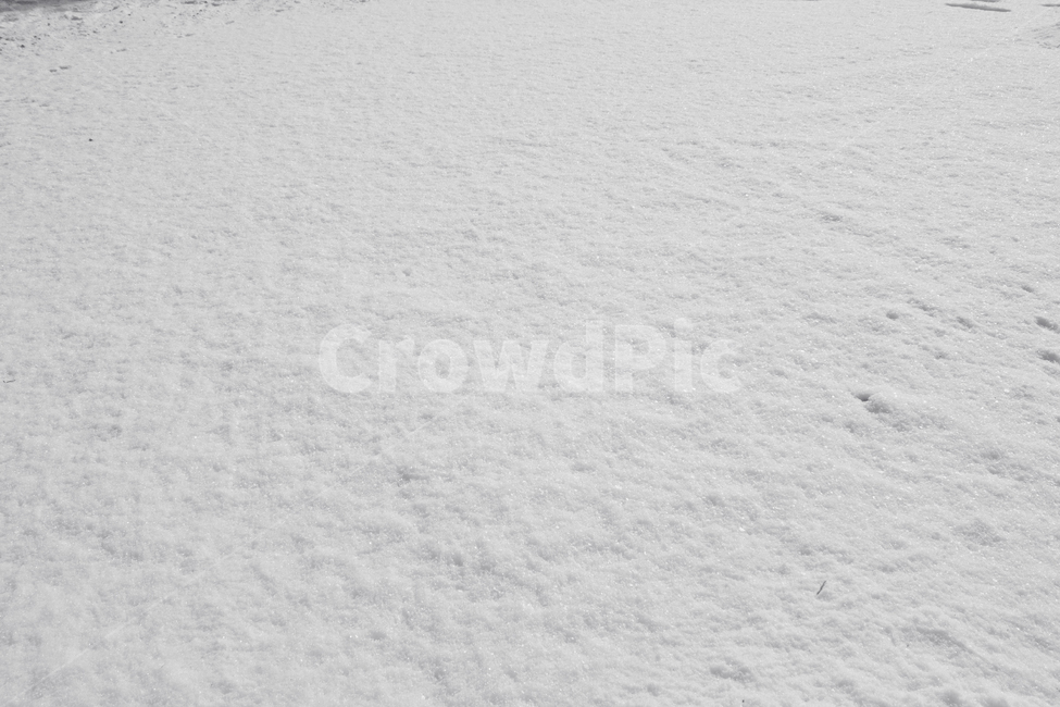 겨울,눈,눈밭,스노우,눈길,눈쌓인,폭설,자연,snow,흰색,화이트,하얀색,들판,표면