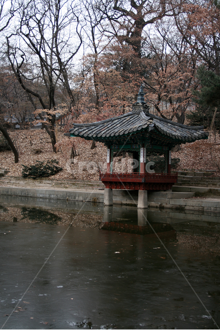 창덕궁,후원,애련정,세계문화유산,문화유산,한국,한국전통,한국문화,korean traditional,korean culture,랜드마크,landmark,tourist attraction,한국랜드마크,한국관광지,한국명소,korea landmark,korea tourist attraction