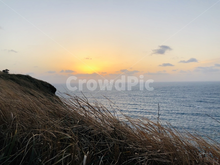 석양,갈대,바다,수평선,노을,파도,하늘,해안가,절벽,sunset,reed,sea,wave,sky,bluff,horizon,자연,풍경,nature,landscape,plant,식물,grass,잔디