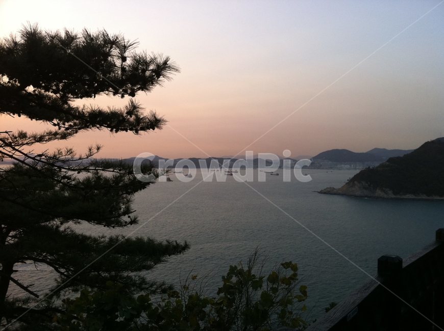 태종대,바다,일몰,자연,나무,nature,sea,sunset,자연,풍경,nature,landscape,promontory,곶,land,땅,outdoors,옥외,water,물,tree,plant,식물