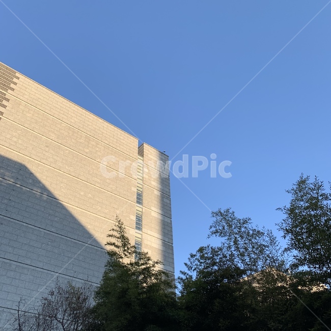 건물,하늘,나무,파랑,그림자,건축물,건물외관,exterior,building,structure,architecture,construction