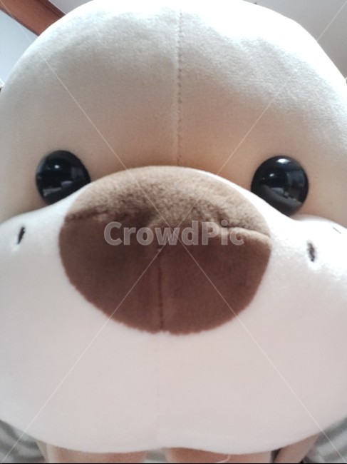 cute,인형,왕코,순함,해피
