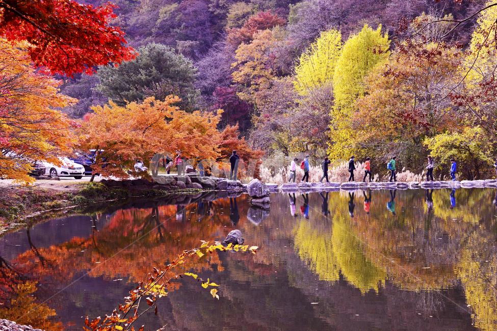 pond,reflection,Baekyang Peach Color,tree,Baekyangsa Temple,Baekyangsa Temple Maple Leaves,person,plant,great wall,maple,Baekyangsa Temple Autumn,human,Maple