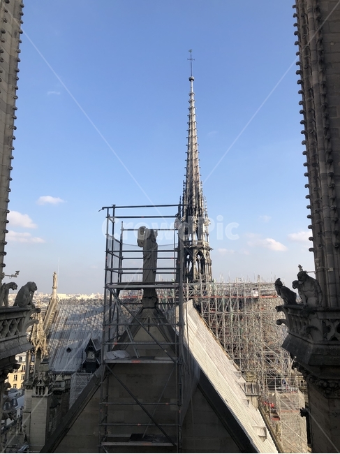 fly,Notre Dame Cathedral,Paris city,belfry,The Hunchback of Notre Dame,france,Notre Dame Bell Tower,Panoramic view of Paris,Notre Dame Spire,Notre Dame de Paris