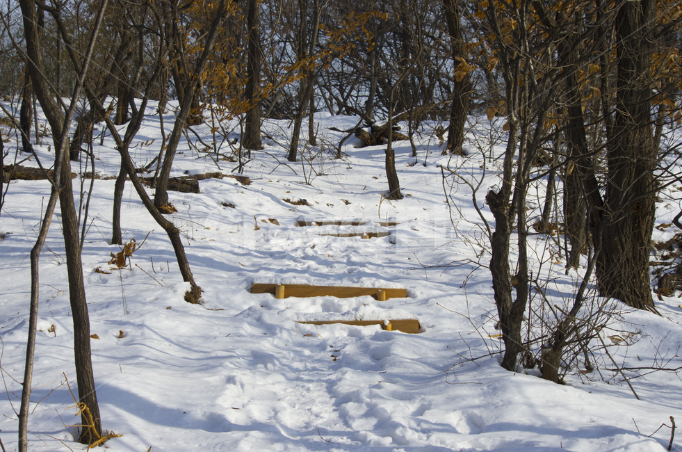 겨울,눈,산행,나무,계단,등산,산속,산,scene,view,feeling,emotion,nature,landscape,snow,ice,winter,cold,stairs,풍경,감정,감성,자연,계절,풍경사진,감성사진,정취