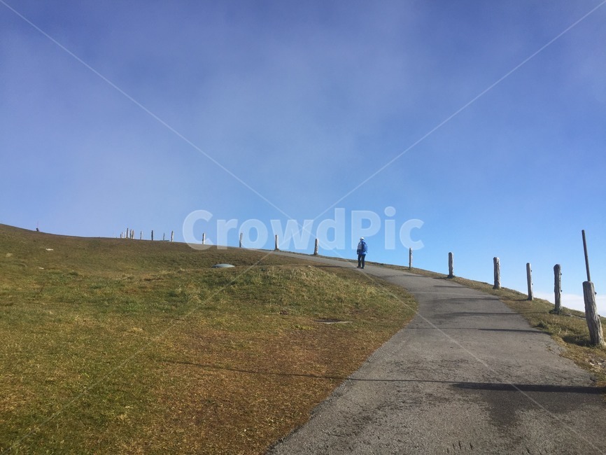 field,들,person,인간,grassland,목초지,nature,자연