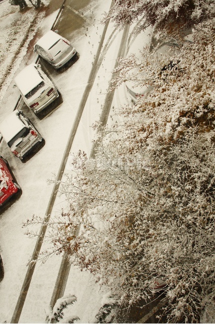 자연,nature,눈,snow,길,겨울,계절,winter,season