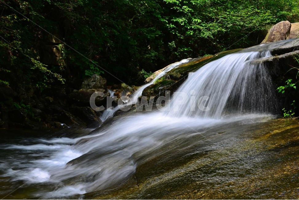 water,물,river,강,nature,자연,outdoors,옥외,waterfall,곡성,도림사,계곡,폭포,몰흐름,이끼,도림사계곡,도림사여름