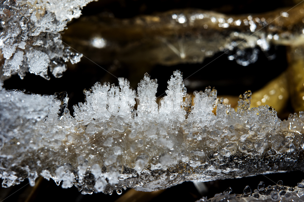 nature,자연,ice,빙,outdoors,서리,frost,눈,옥외,겨울,냇가