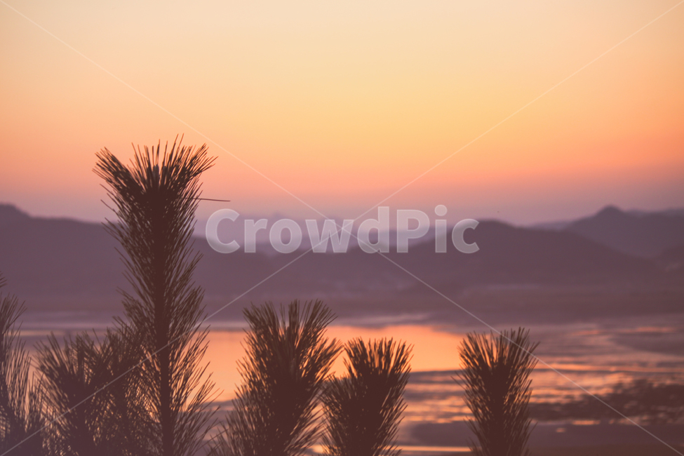 자연,풍경,일몰,sunset,landscape,nature,sunfall,태양,해,햇빛,sun,sunlight,light,빛,산,산맥,낙조,만,bay,mountain,식물,plant,하늘,sky,자연,풍경,nature,landscape,해변,바다,beach,sea,색깔,색상,색채,색감,color sense,color sensitivity,feeling of color,grass,잔디