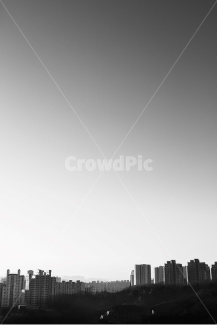 nature,자연,outdoors,옥외,흑백,흑백,모노톤,monochrome,black and white