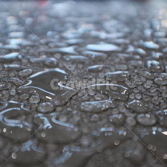 바닥,ground,tar,타르,비,빗방울,물,water,rain,raindrop,비오는날,자연