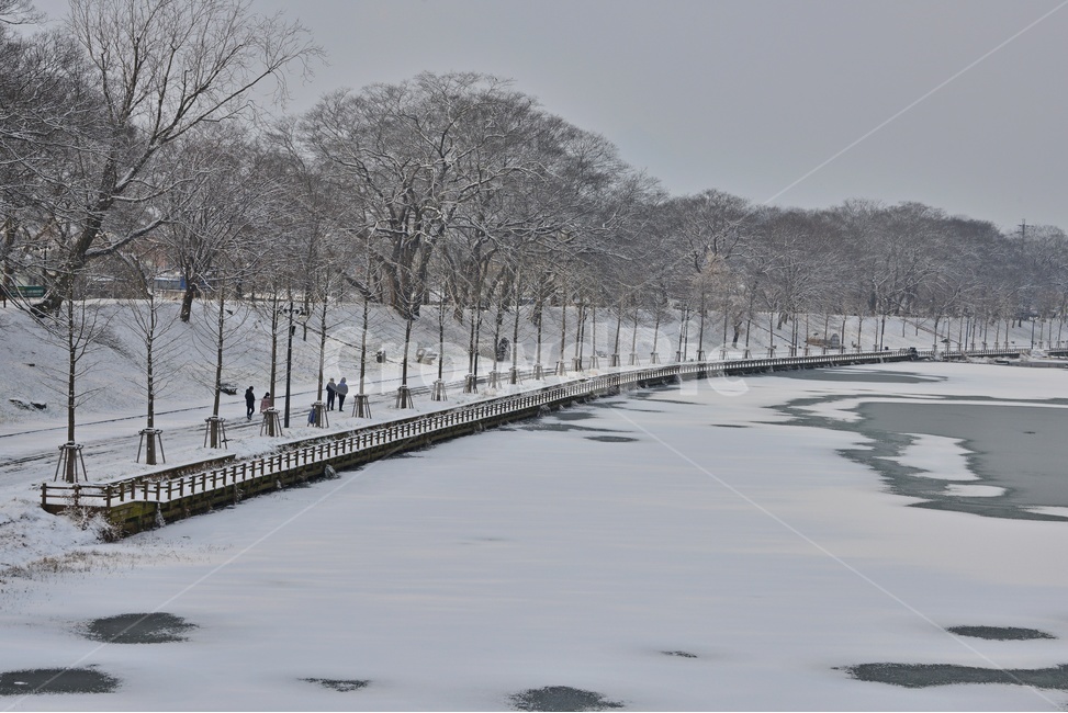 human,인간,person,사람,plant,식물,tree,나무,winter,겨울,blizzard,눈보라,nature,자연,outdoors,옥외,snow,눈,담양,관방천,관방제림,관방천설경,관방제림설경