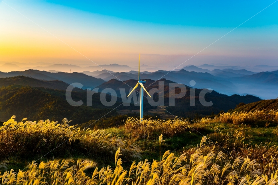 영암,풍력발전,자연풍경,억새,일출,가을,계절,fall,autumn,season,자연,풍경,nature,landscape,한국자연풍경,한국자연경관,korea nature landscape,산업,industry,industrial,에너지산업,energy industry,machine,기계,motor,모터,engine,엔진