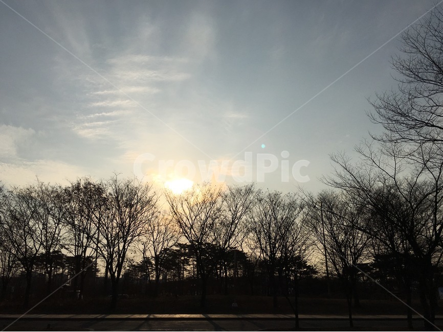 하늘,노을,자연,나무,자연풍경,풍경,자연,풍경,nature,landscape,식물,plants,나무,trees,wood,light,빛,flare,플레어,sunlight,햇빛
