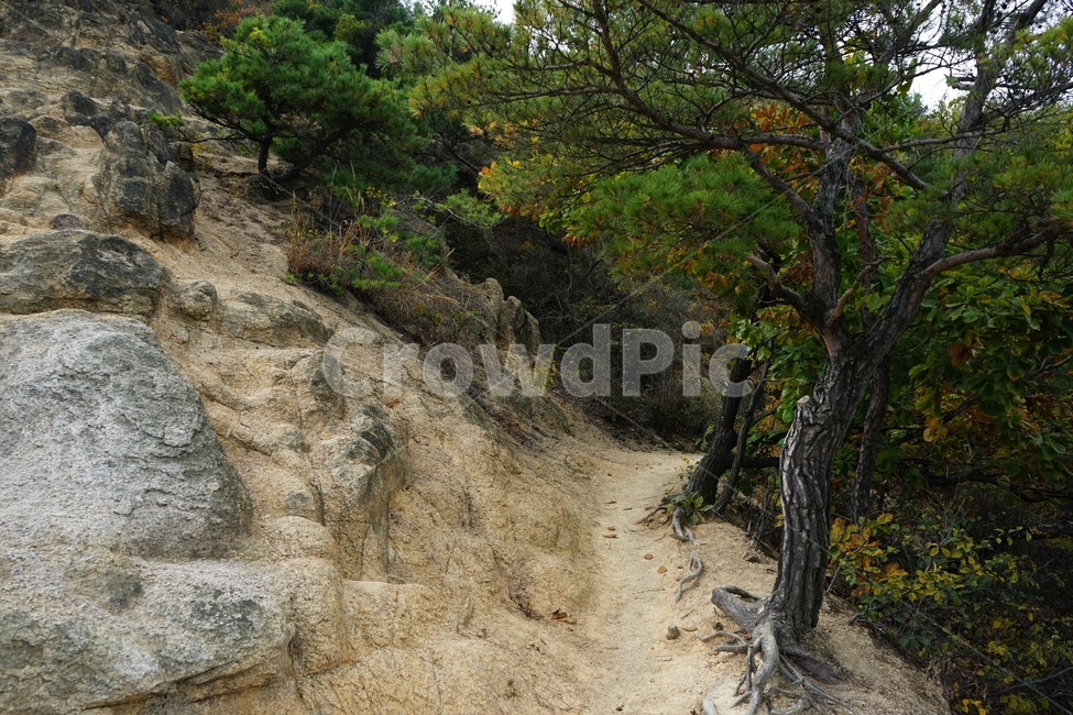 산,나무,숲,자연,녹새,하늘,파란,가을,mountain,trees,forest,granite,자연,풍경,nature,landscape