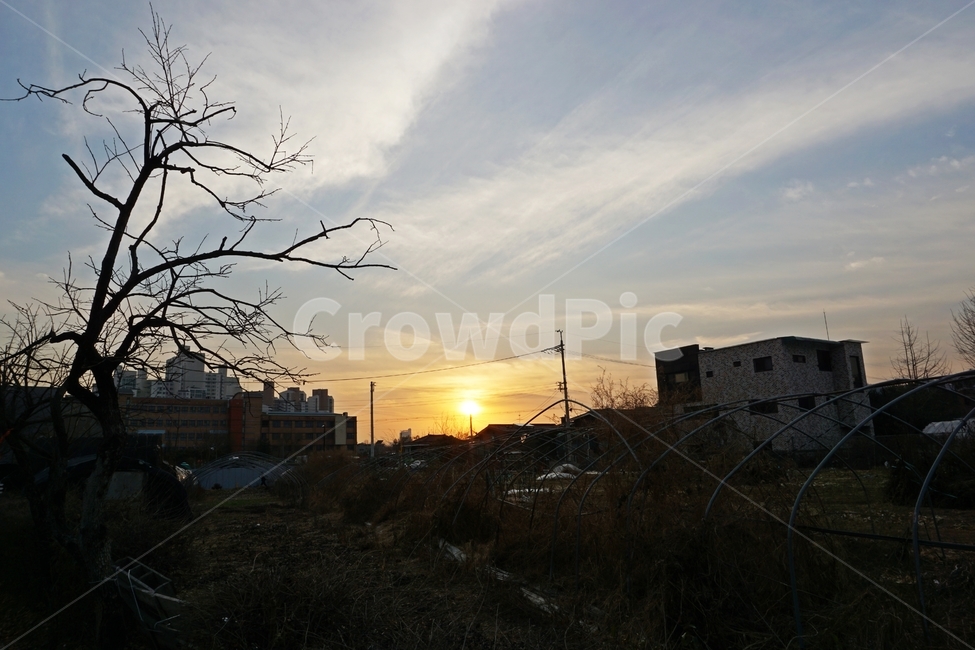 하늘,나무,노을,풍경,어둠,dark,sky,wood,일몰,야경,도시,도심,건물,건축,nature,자연,city,building,darkphoto,sunset,nightlight,도시,풍경,city,landscape,한국도시풍경,한국도시경관,korea cityscape,nature,자연,outdoors,옥외,dusk,황혼,dawn,새벽,red sky,붉은 하늘,sky,sunset,일몰