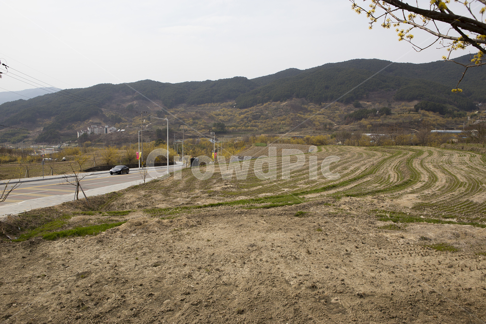 자연,풍경,시골,농촌,길,도로,전원,봄,한국,spring,season,nature,country,자연,풍경,nature,landscape,시골,마을,country,rural,town,road